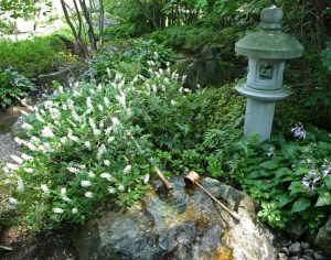 Montreal Botanical Garden, Japanese Garden