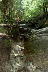 Sterling Pond Trail, Image