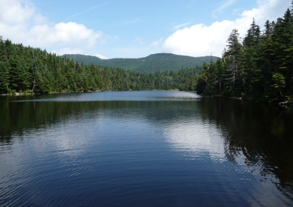 Sterling Pond Image