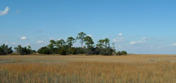 Hunting Island State Park, SC