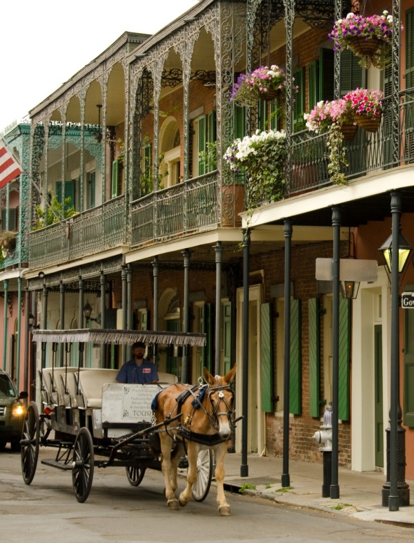 New Orleans French Quarter Image