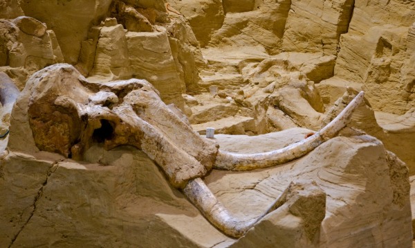 Mammoth Site, Hot Springs South Dakota