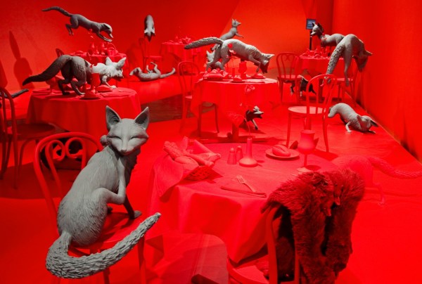 Fox Games, Denver Art Museum