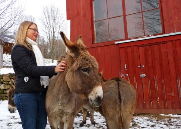 Bedlam Farm Donkeys, Simon