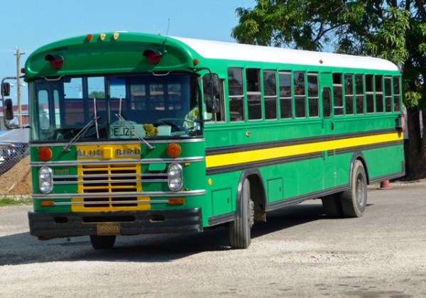 Chicken Bus - Belize