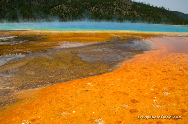 Grand Prismatic Spring, Yellow Stone National Park