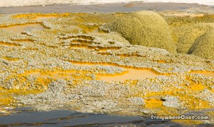 Jewel Geyser Yellowstone National Park