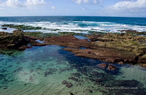 La Jolla Tide Pools