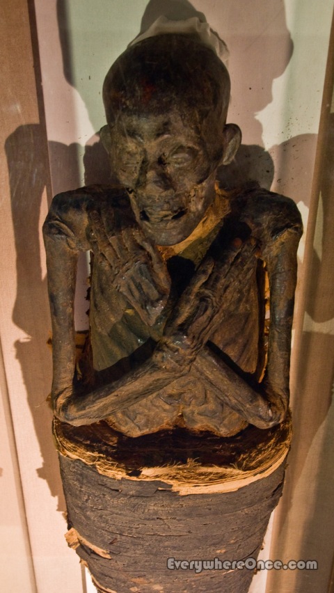 Albany Institute of History and Art Mummy