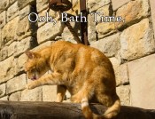 Bath Time