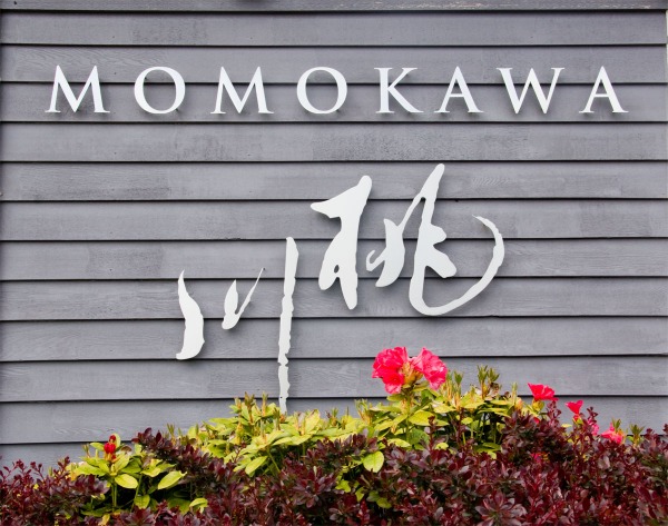 Momokawa Sake