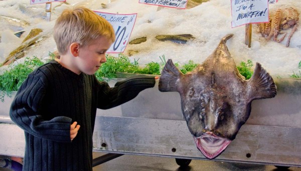 Little boy and a scary fish