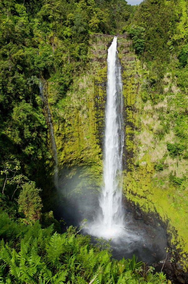 Akaka Falls, Hilo, Hawaii