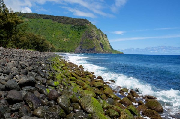 Waipio Valley Rocky Shore, Big Island, Hawaii