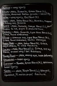 A board listing the Center's patients by name and injury