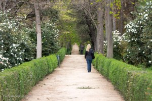 A Walk in Buen Retiro Park