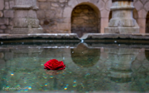 Flower in a Pool at Girona's Arab Bath