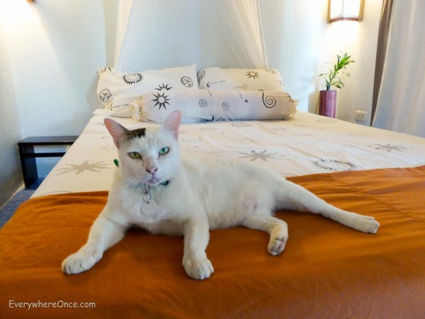 Time For Lime, Koh Lanta