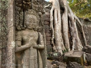 Trees and Statues in Preah Kan Angkor Wat